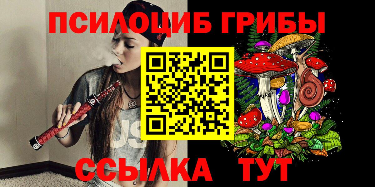 Галлюциногенные грибы Psilocybine cubensis  Вход с VPN  Чусовой 
